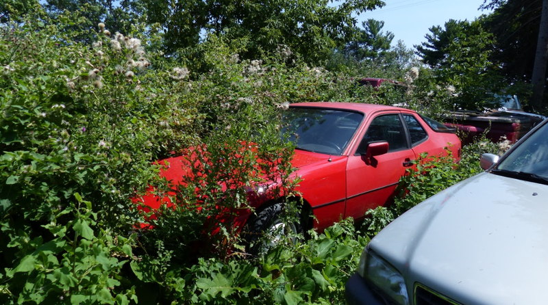 Illustration for article titled A Michigan Town Is Forcing This Man To Sell 20 Old Cars Off His Property Every Month
